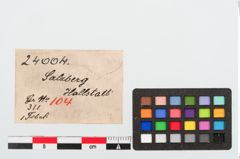 Foto von Bronzekahnfibel (NHMW-PRAE-024004)